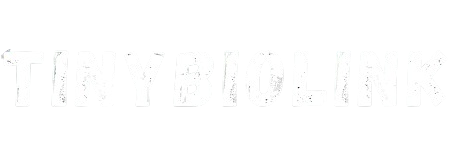 Website logo
